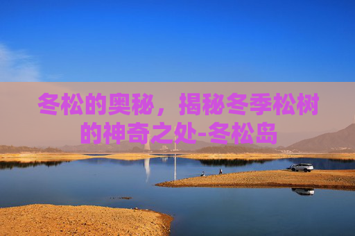 冬松的奥秘，揭秘冬季松树的神奇之处-冬松岛