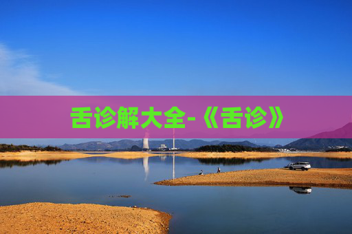 舌诊解大全-《舌诊》