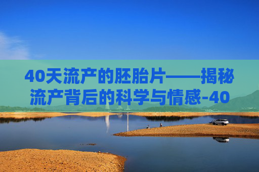 40天流产的胚胎片——揭秘流产背后的科学与情感-40天流产的胚胎片是什么