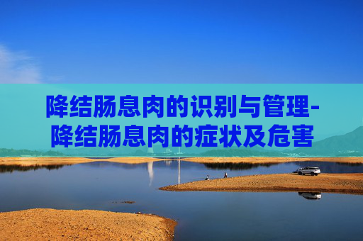 降结肠息肉的识别与管理-降结肠息肉的症状及危害