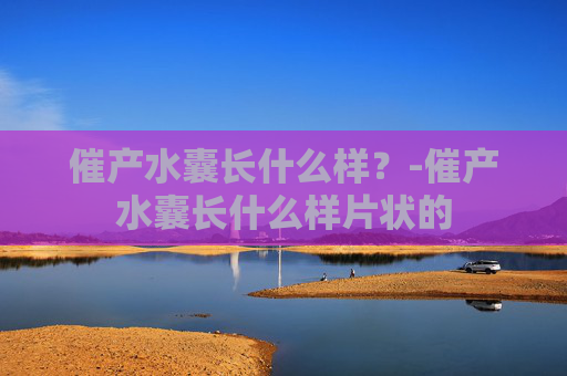 催产水囊长什么样？-催产水囊长什么样片状的
