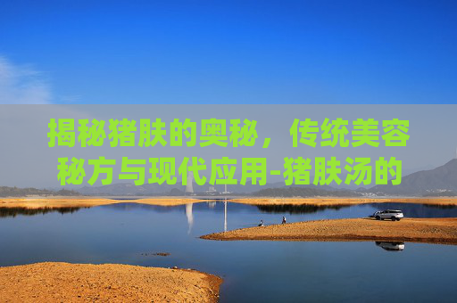 揭秘猪肤的奥秘，传统美容秘方与现代应用-猪肤汤的功效与作用