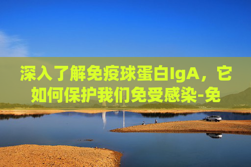深入了解免疫球蛋白IgA，它如何保护我们免受感染-免疫球蛋白iga偏低意义