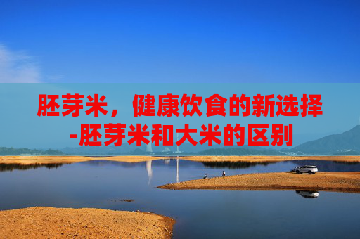 胚芽米，健康饮食的新选择-胚芽米和大米的区别