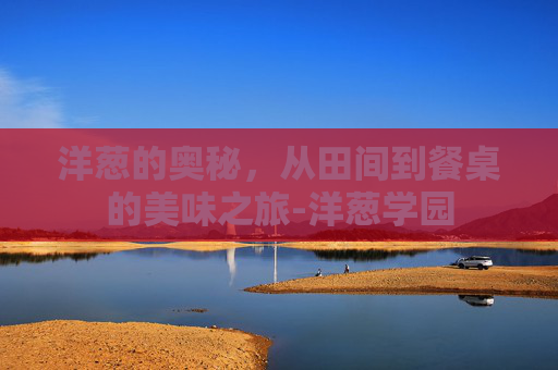 洋葱的奥秘，从田间到餐桌的美味之旅-洋葱学园