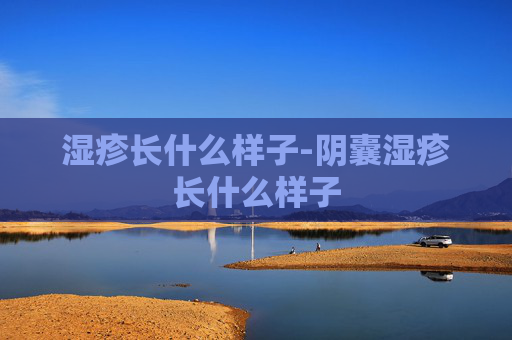 湿疹长什么样子-阴囊湿疹长什么样子