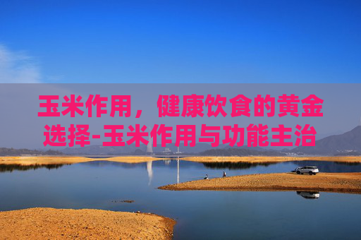 玉米作用，健康饮食的黄金选择-玉米作用与功能主治功效