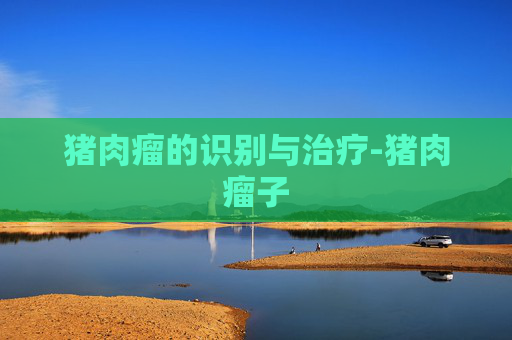 猪肉瘤的识别与治疗-猪肉瘤子