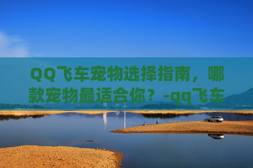 QQ飞车宠物选择指南，哪款宠物最适合你？-qq飞车哪个宠物好
