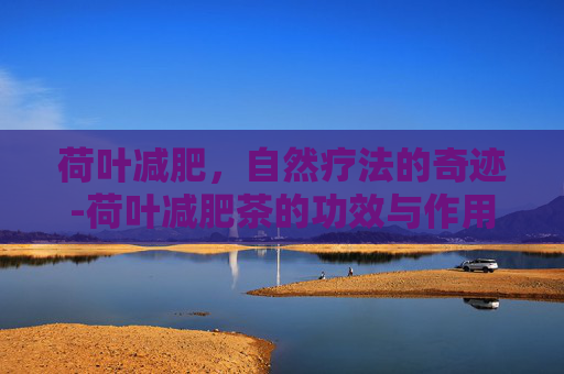 荷叶减肥，自然疗法的奇迹-荷叶减肥茶的功效与作用