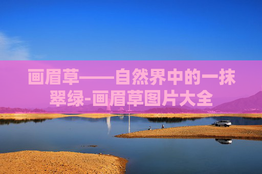 画眉草——自然界中的一抹翠绿-画眉草图片大全