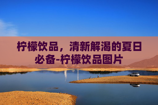 柠檬饮品，清新解渴的夏日必备-柠檬饮品图片