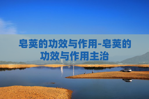 皂荚的功效与作用-皂荚的功效与作用主治