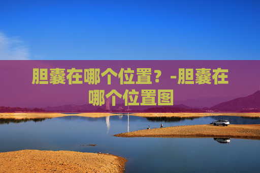 胆囊在哪个位置?-胆囊在哪个位置图 胆囊在哪个位置?-胆囊在哪个位置图