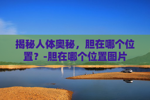 揭秘人体奥秘,胆在哪个位置?-胆在哪个位置图片 揭秘人体奥秘,胆在哪个位置?-胆在哪个位置图片