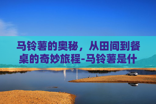 马铃薯的奥秘，从田间到餐桌的奇妙旅程-马铃薯是什么科植物