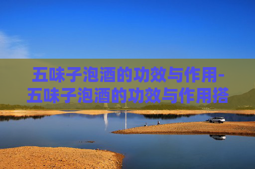 五味子泡酒的功效与作用-五味子泡酒的功效与作用搭配