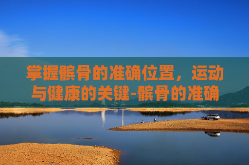 掌握髌骨的准确位置，运动与健康的关键-髌骨的准确位置图片
