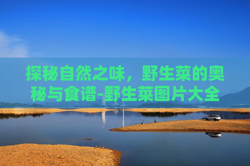 探秘自然之味，野生菜的奥秘与食谱-野生菜图片大全