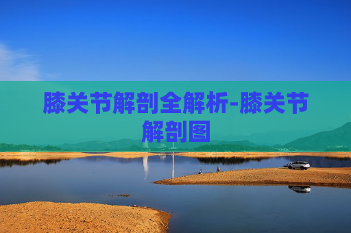 膝关节解剖全解析-膝关节解剖图 膝关节解剖全解析-膝关节解剖图