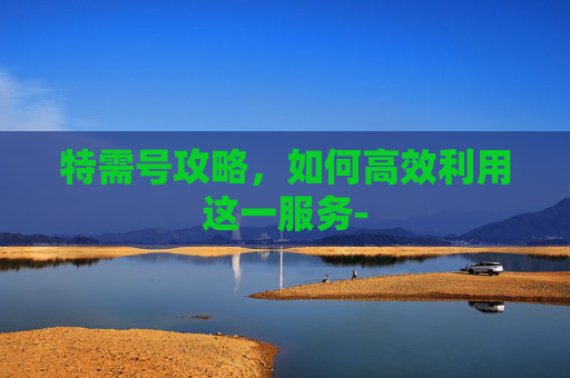 特需号攻略,如何高效利用这一服务- 特需号攻略,如何高效利用这一服务-