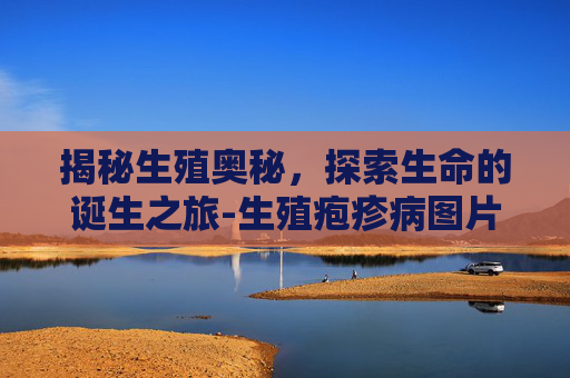 揭秘生殖奥秘，探索生命的诞生之旅-生殖疱疹病图片