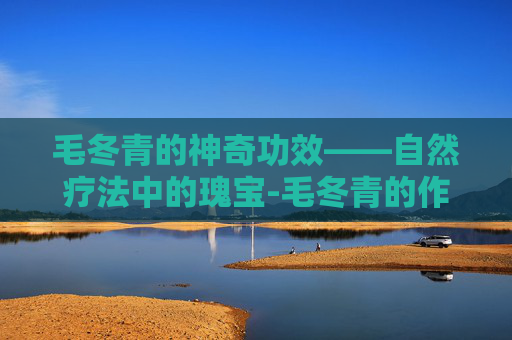 毛冬青的神奇功效——自然疗法中的瑰宝-毛冬青的作用是什么