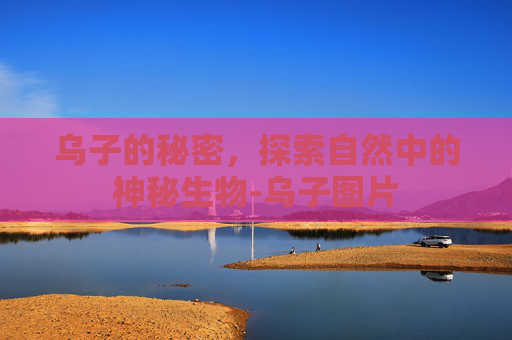 乌子的秘密，探索自然中的神秘生物-乌子图片