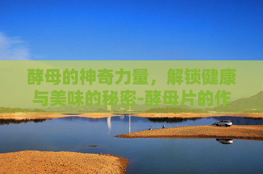 酵母的神奇力量,解锁健康与美味的秘密-酵母片的作用与功效 酵母的神奇力量,解锁健康与美味的秘密-酵母片的作用与功效
