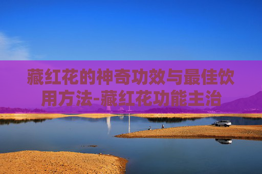 藏红花的神奇功效与最佳饮用方法-藏红花功能主治