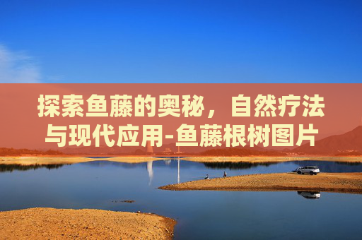 探索鱼藤的奥秘，自然疗法与现代应用-鱼藤根树图片
