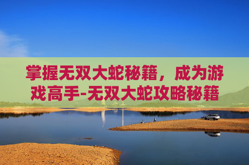 掌握无双大蛇秘籍，成为游戏高手-无双大蛇攻略秘籍