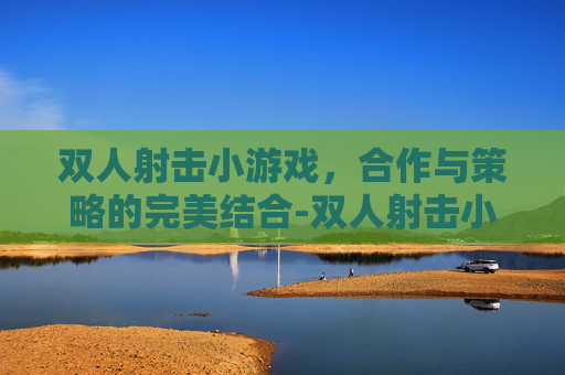 双人射击小游戏，合作与策略的完美结合-双人射击小游戏电脑版