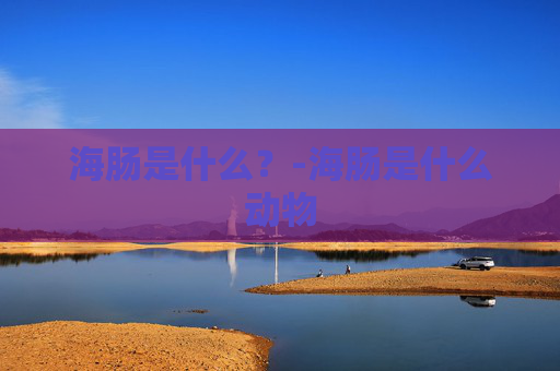 海肠是什么？-海肠是什么动物