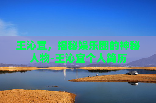 王沁宜，揭秘娱乐圈的神秘人物-王沁宜个人简历