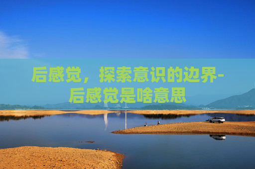 后感觉，探索意识的边界-后感觉是啥意思