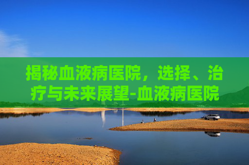 揭秘血液病医院，选择、治疗与未来展望-血液病医院排名