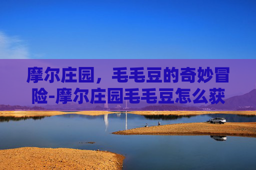 摩尔庄园，毛毛豆的奇妙冒险-摩尔庄园毛毛豆怎么获得