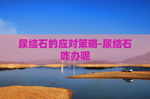 尿结石的应对策略-尿结石咋办呢