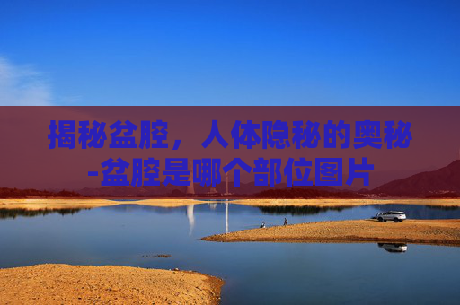 揭秘盆腔，人体隐秘的奥秘-盆腔是哪个部位图片