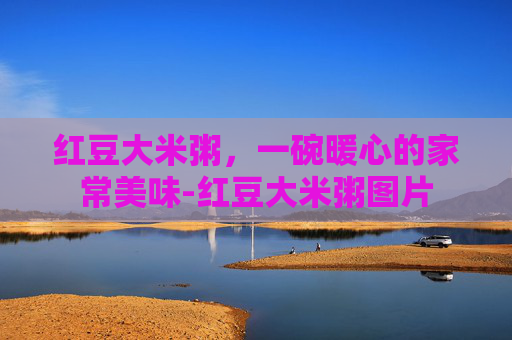 红豆大米粥，一碗暖心的家常美味-红豆大米粥图片