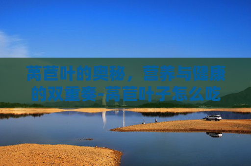 莴苣叶的奥秘，营养与健康的双重奏-莴苣叶子怎么吃