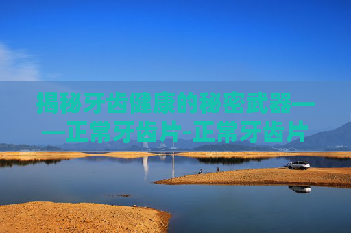 揭秘牙齿健康的秘密武器——正常牙齿片-正常牙齿片子图片大全