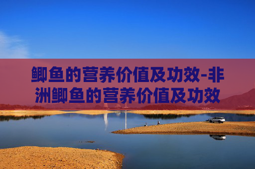 鲫鱼的营养价值及功效-非洲鲫鱼的营养价值及功效 鲫鱼的营养价值及功效-非洲鲫鱼的营养价值及功效