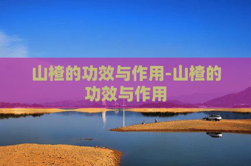 山楂的功效与作用-山楂的功效与作用