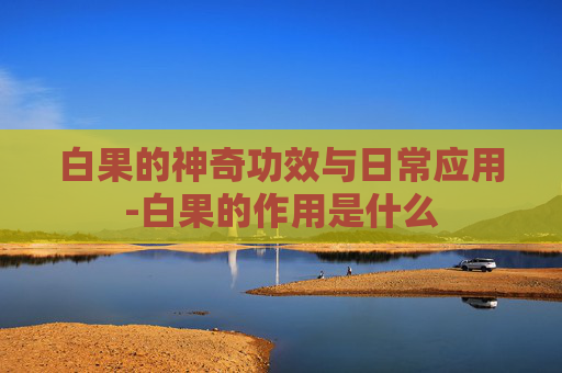 白果的神奇功效与日常应用-白果的作用是什么