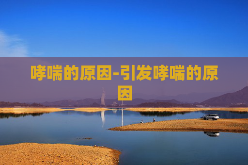 哮喘的原因-引发哮喘的原因