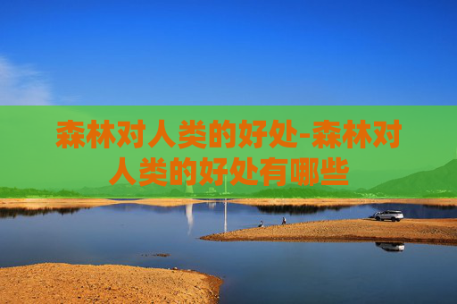 森林对人类的好处-森林对人类的好处有哪些