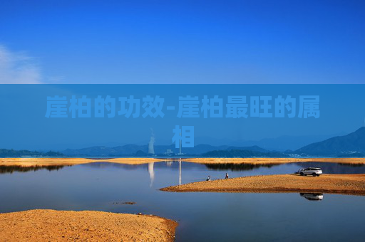 崖柏的功效-崖柏最旺的属相