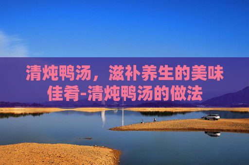 清炖鸭汤,滋补养生的美味佳肴-清炖鸭汤的做法 清炖鸭汤,滋补养生的美味佳肴-清炖鸭汤的做法